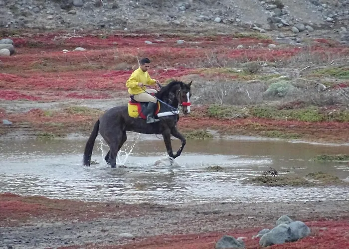 דירה Sunrise Directly At The Sea La Mareta