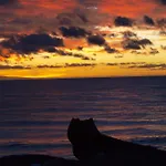 Sunrise Directly At The Sea דירה La Mareta