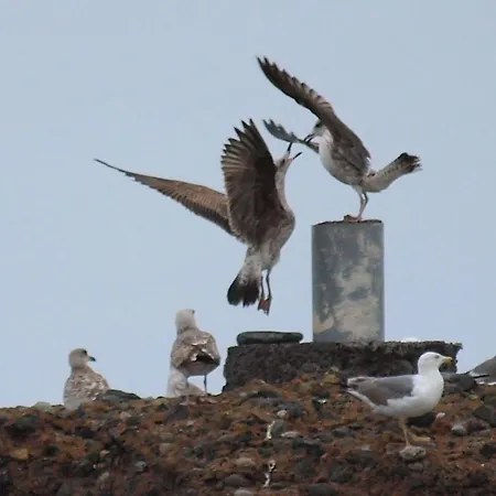 Sunrise Directly At The Sea Διαμέρισμα La Mareta